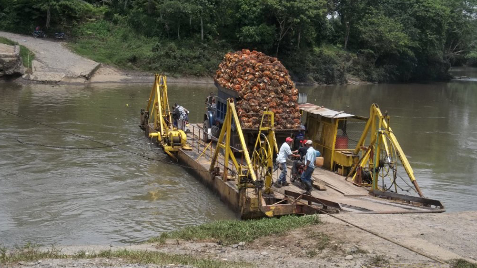 Ferri de Transporte